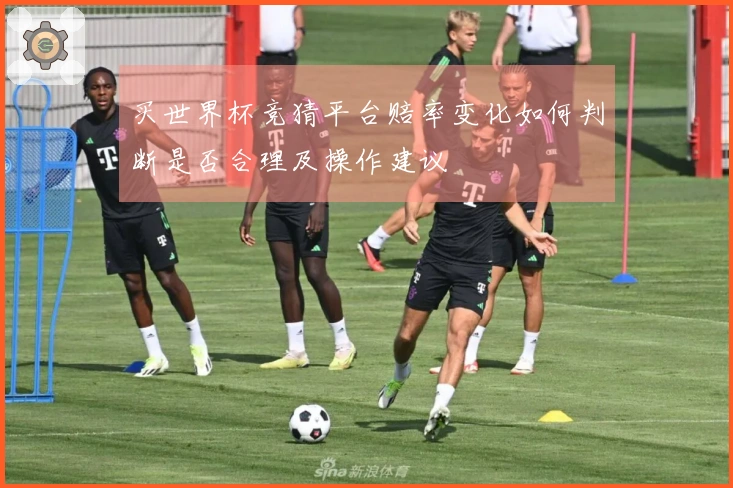 买世界杯竞猜平台赔率变化如何判断是否合理及操作建议