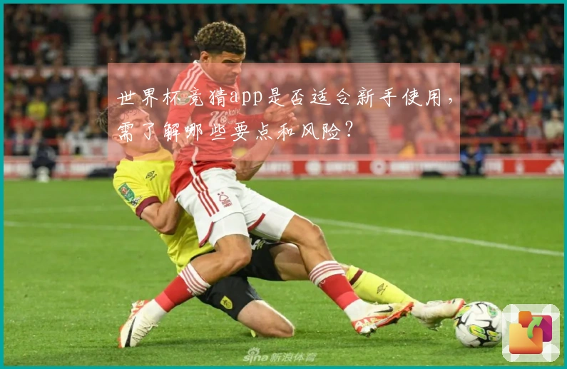 世界杯竞猜app是否适合新手使用，需了解哪些要点和风险？